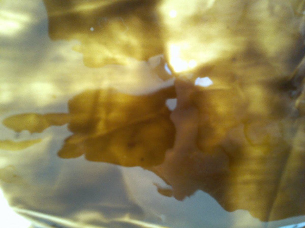 IMG 20130907 161628