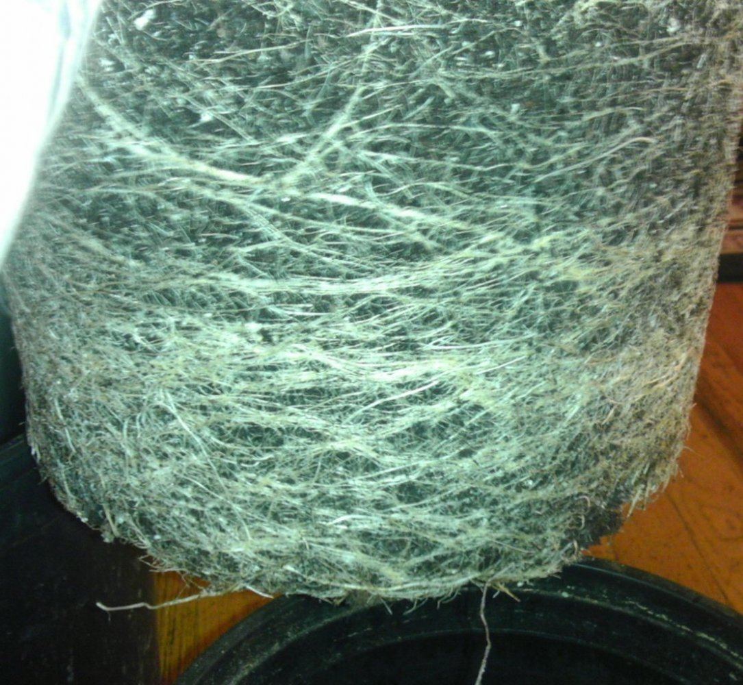 IMG 20131103 034811