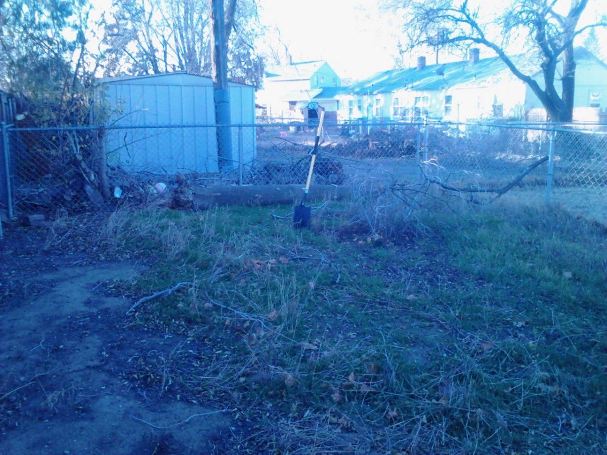 IMG 20131120 082114