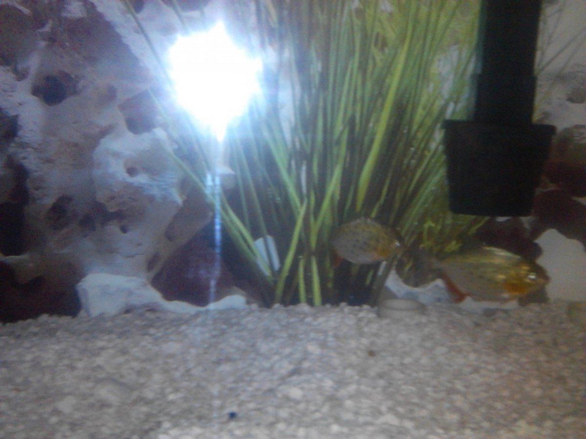 IMG 20131202 234232