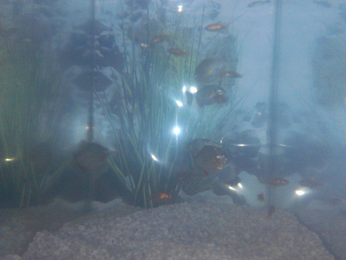 IMG 20131202 234936