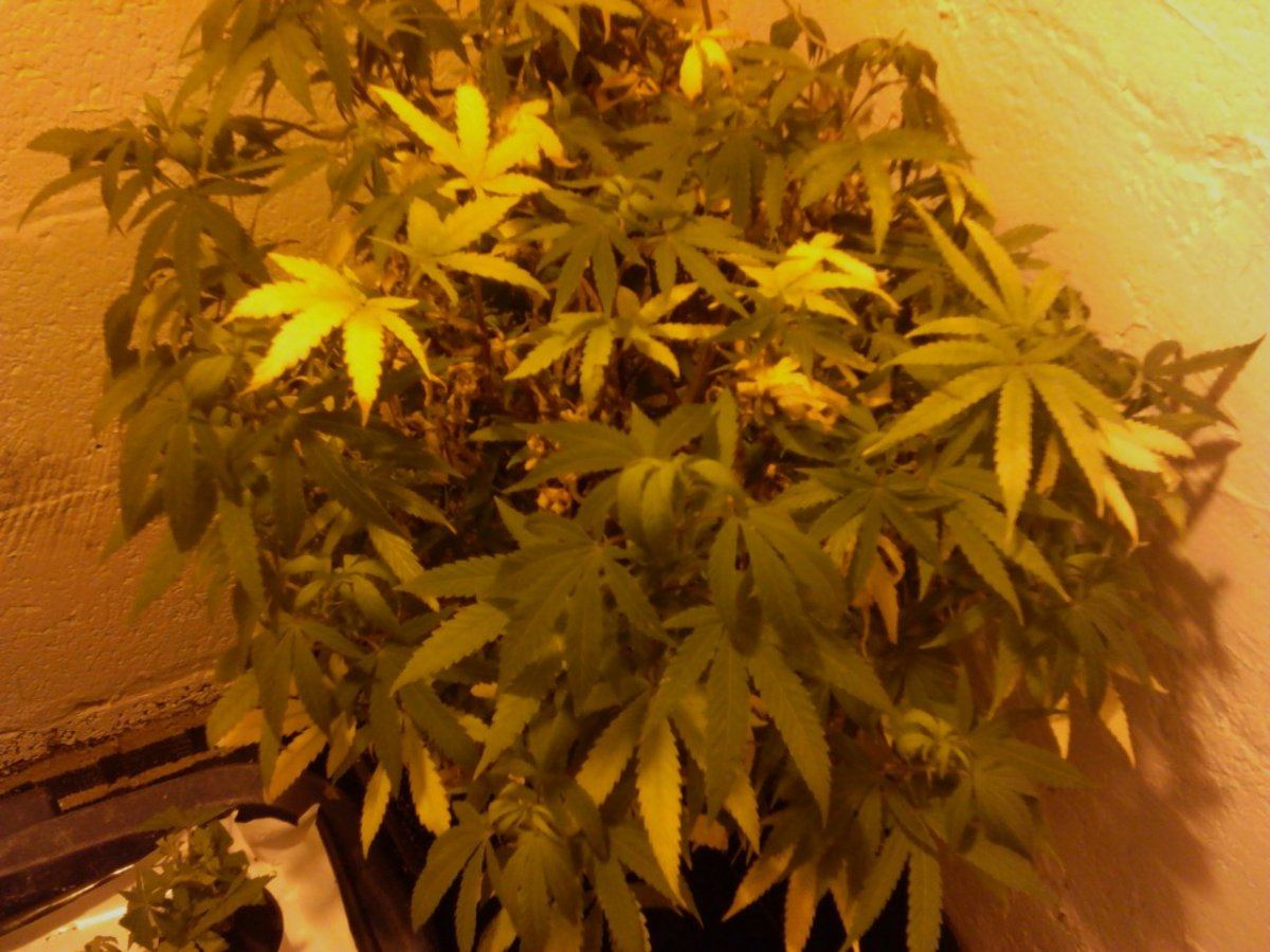 IMG 20131211 104830
