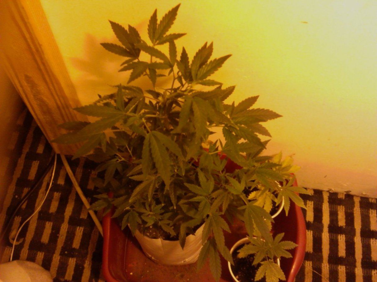 IMG 20131211 104845