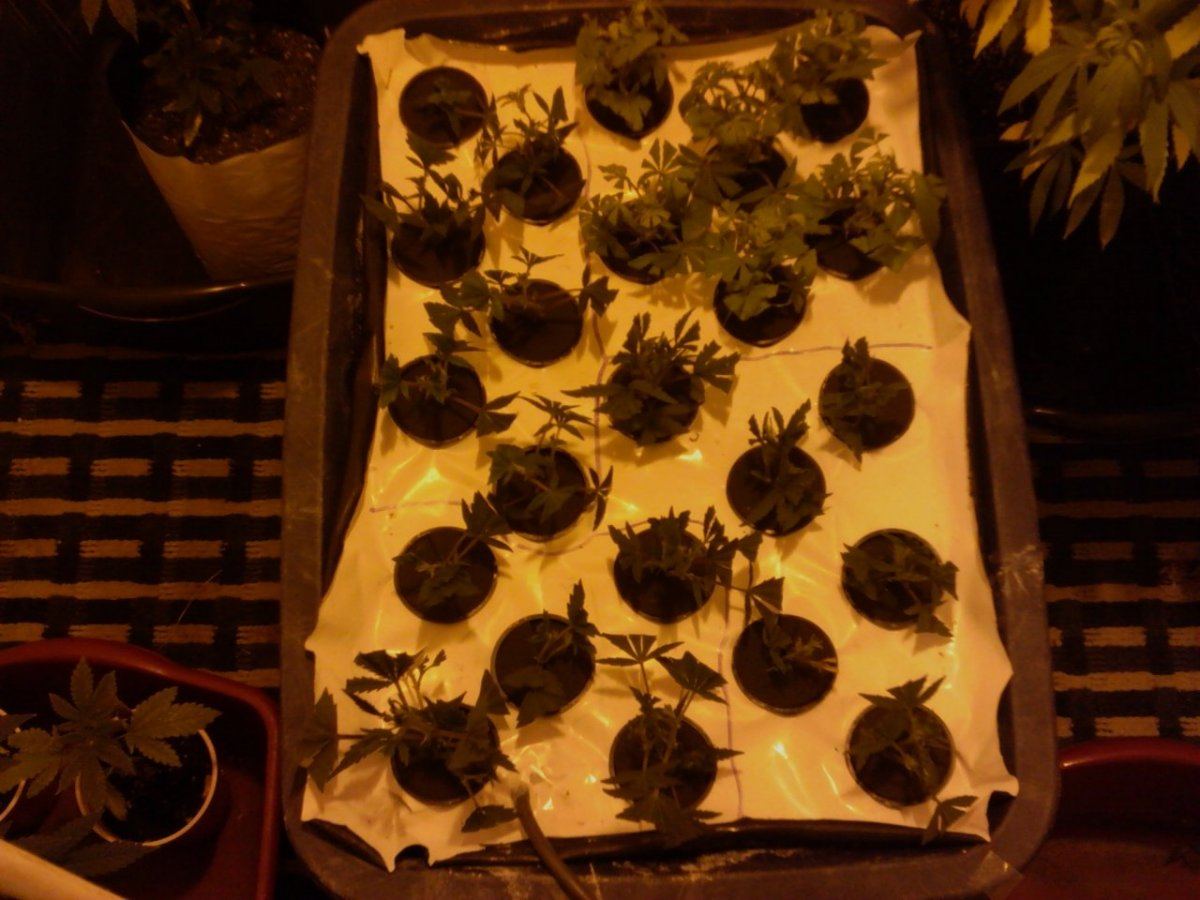 IMG 20131211 104855