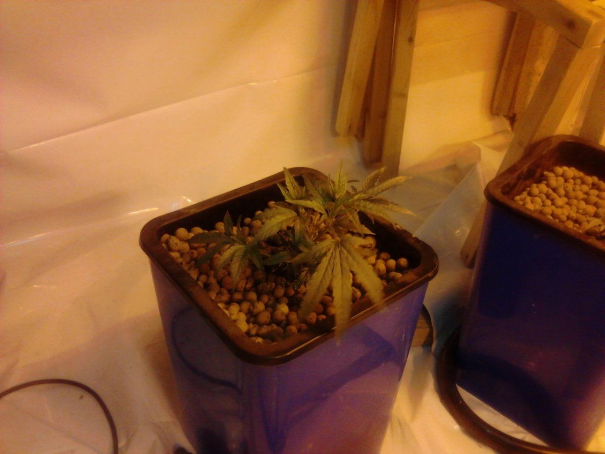 IMG 20131211 183205