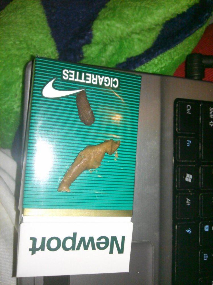 IMG 20131214 232947 413