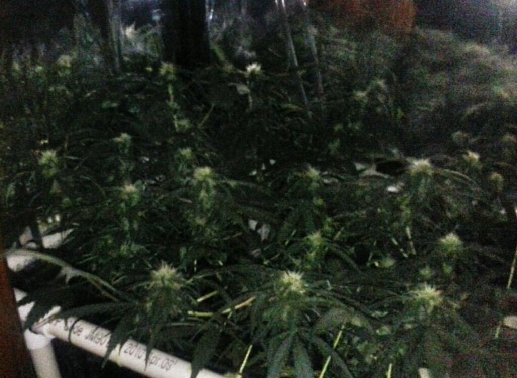 IMG 20131215 2328022
