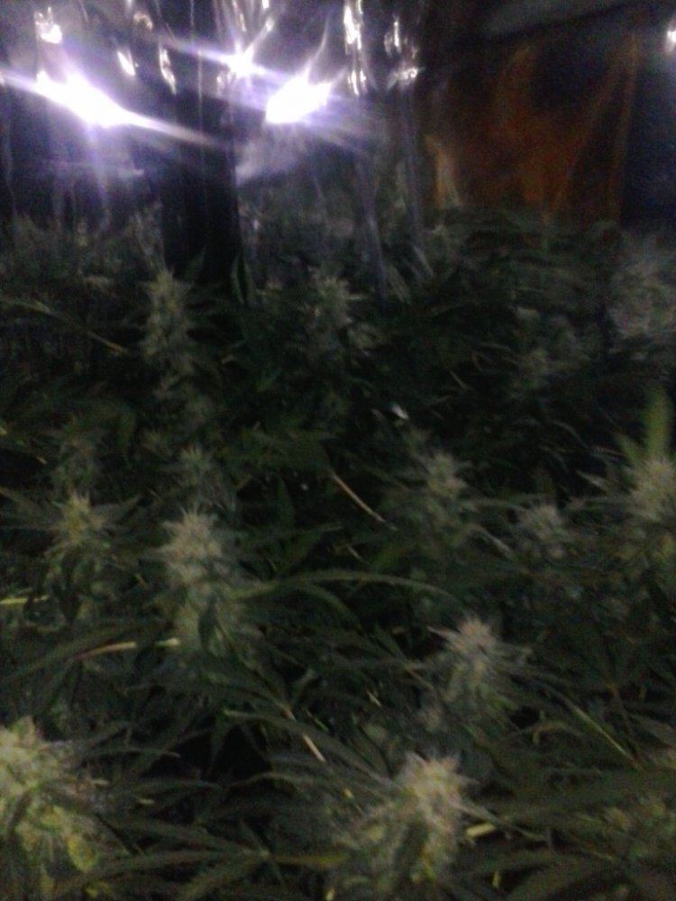 IMG 20131230 220314