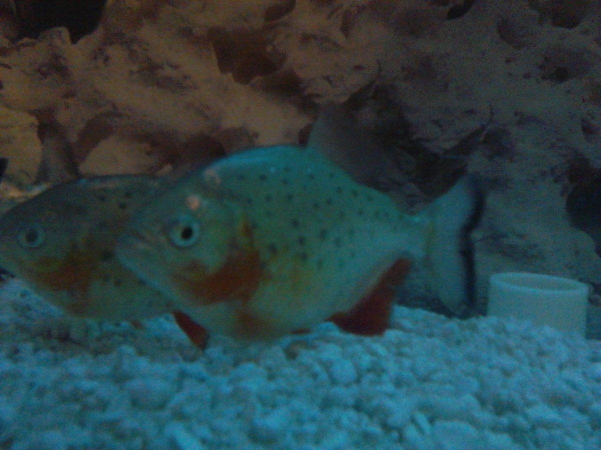 IMG 20140106 222202