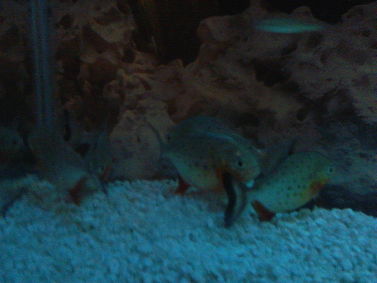 IMG 20140106 222216