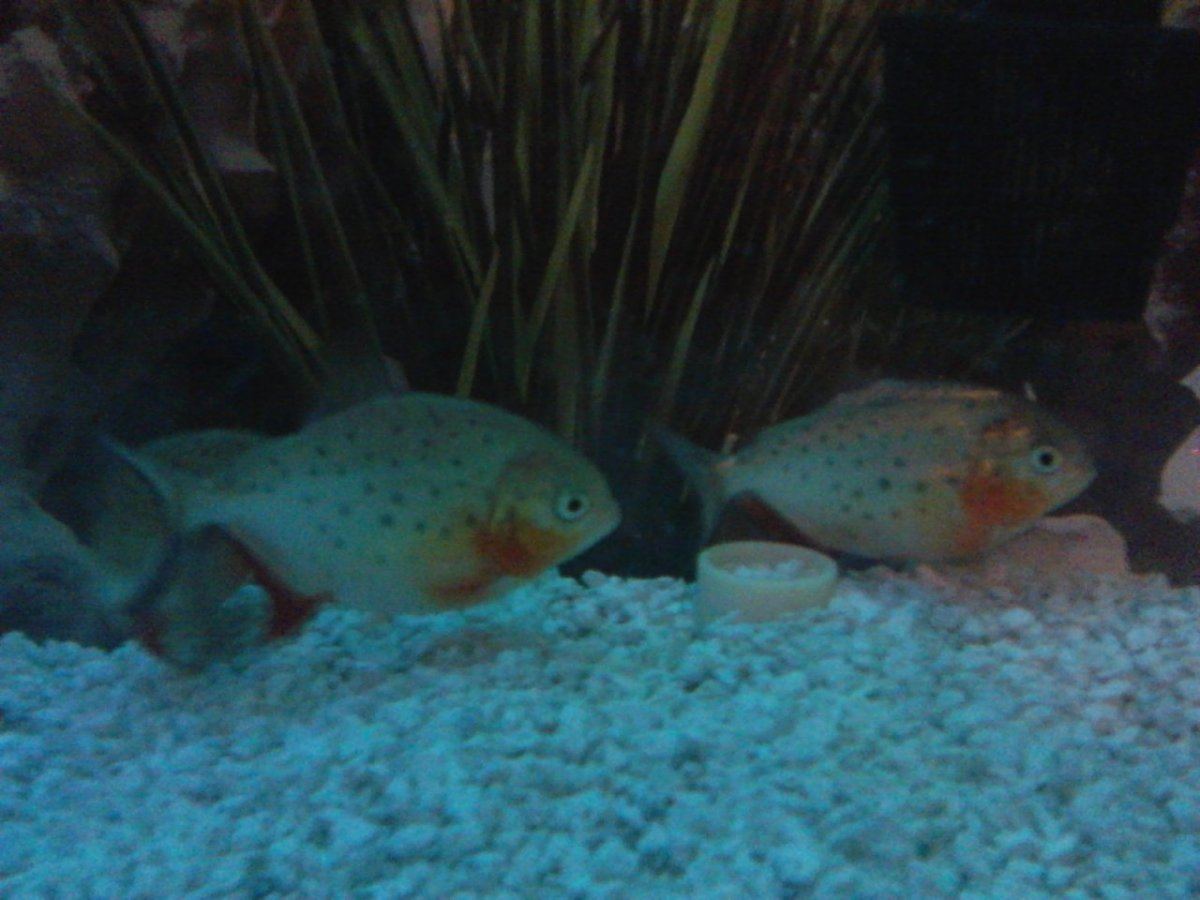 IMG 20140106 222229