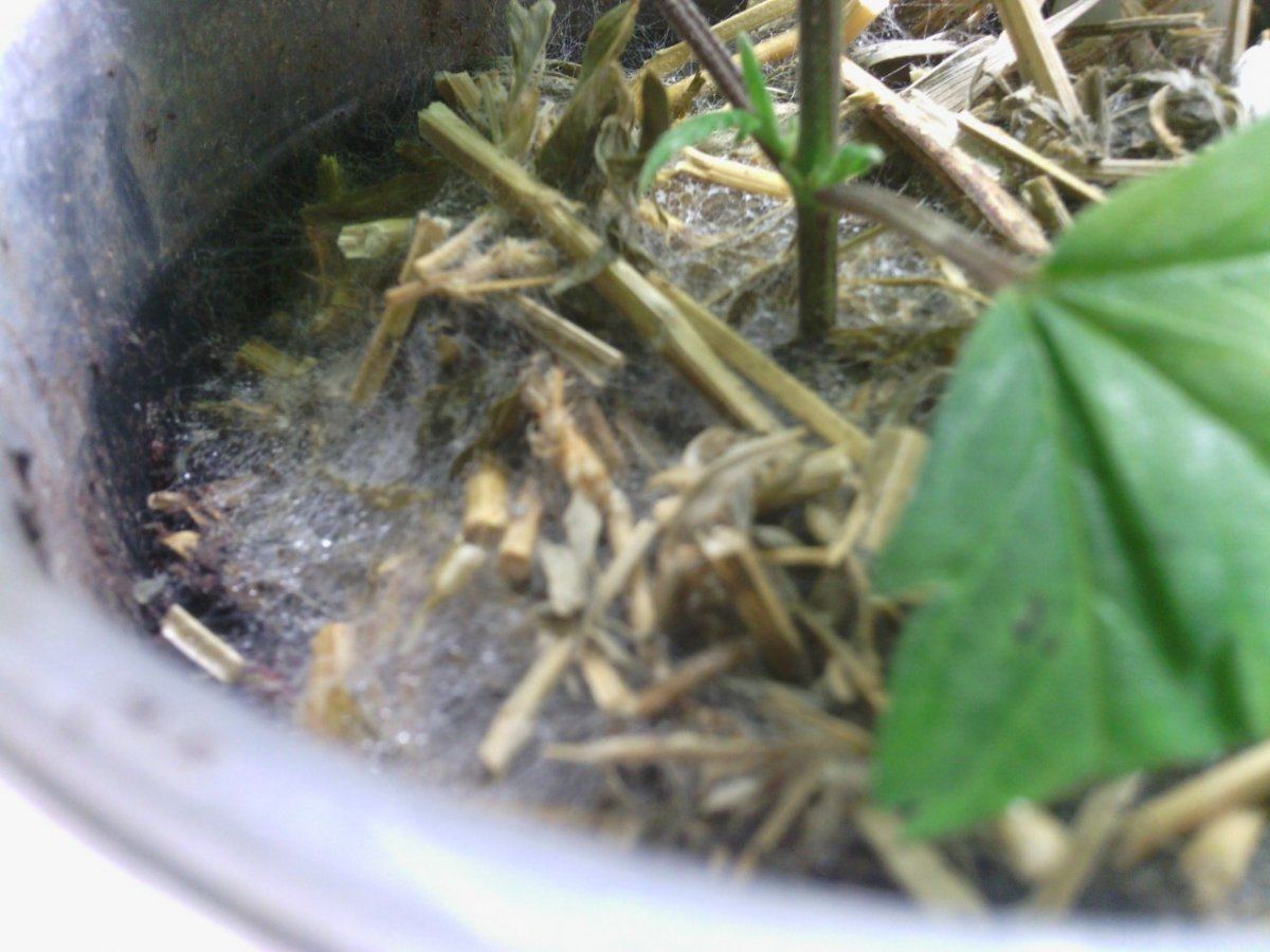 IMG 20140109 201104