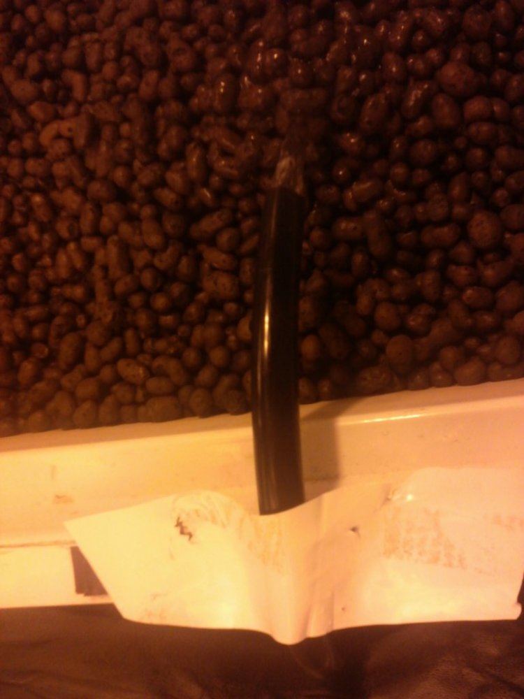 IMG 20140121 225158