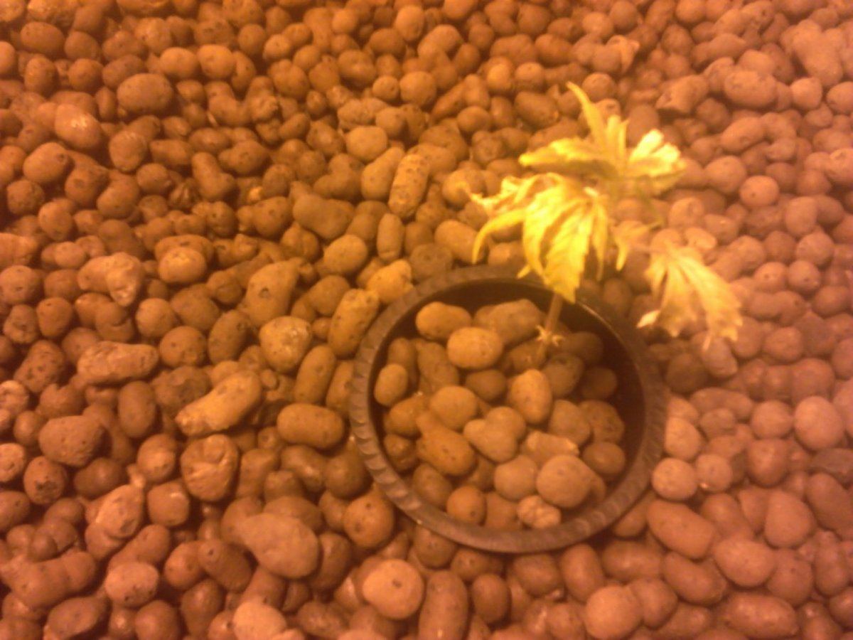 IMG 20140121 225259