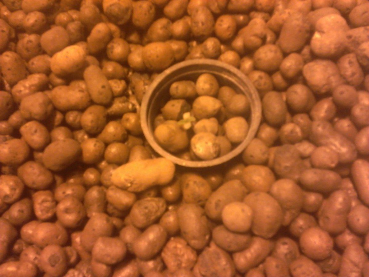 IMG 20140121 225320
