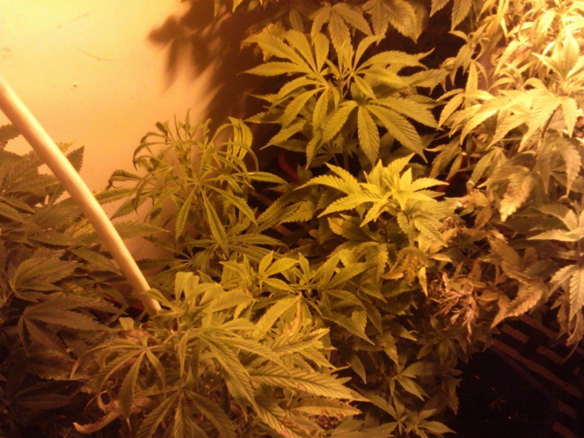 IMG 20140126 195358