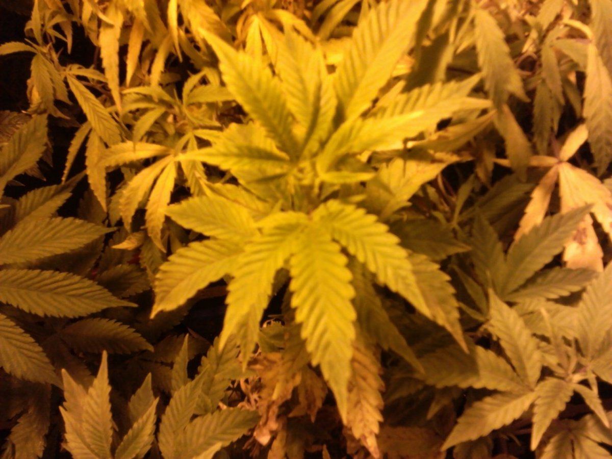 IMG 20140126 195549