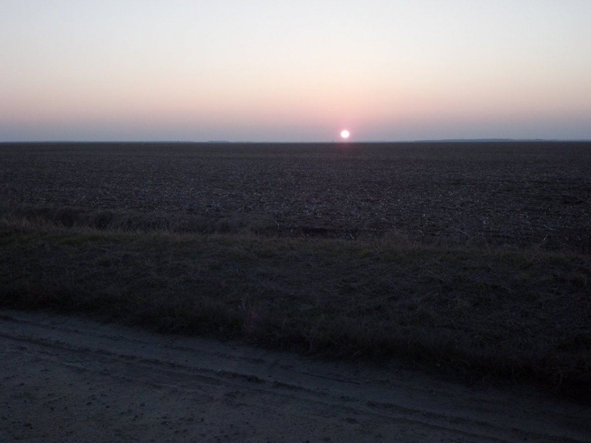 IMG 20140208 173355 570