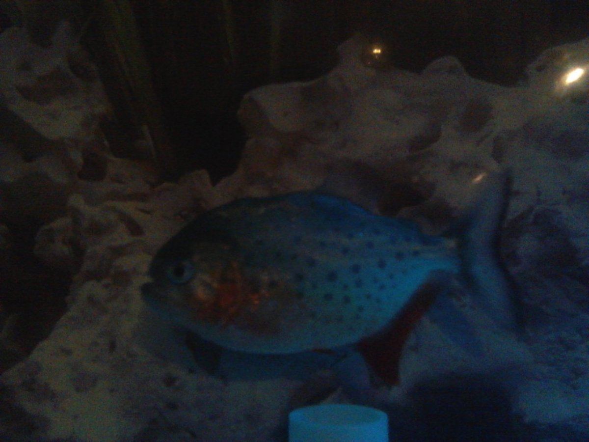 IMG 20140218 003927