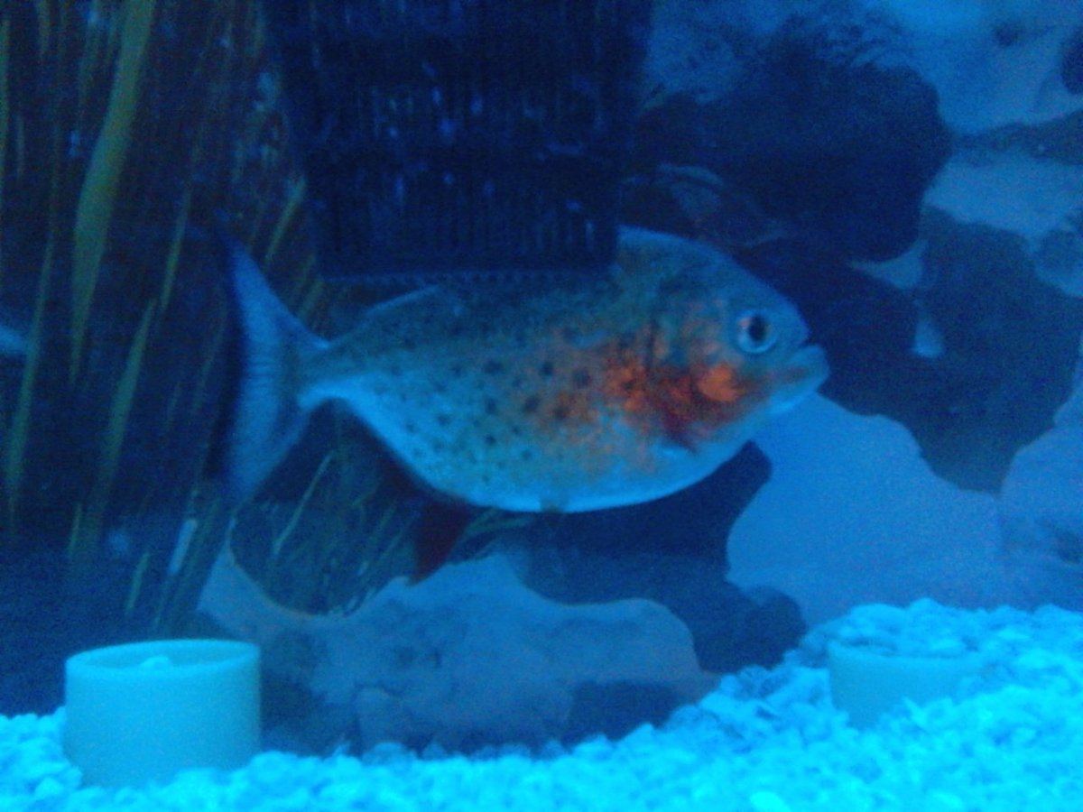 IMG 20140218 004202