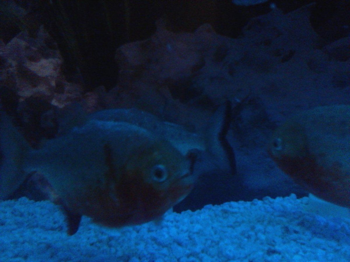 IMG 20140401 185039