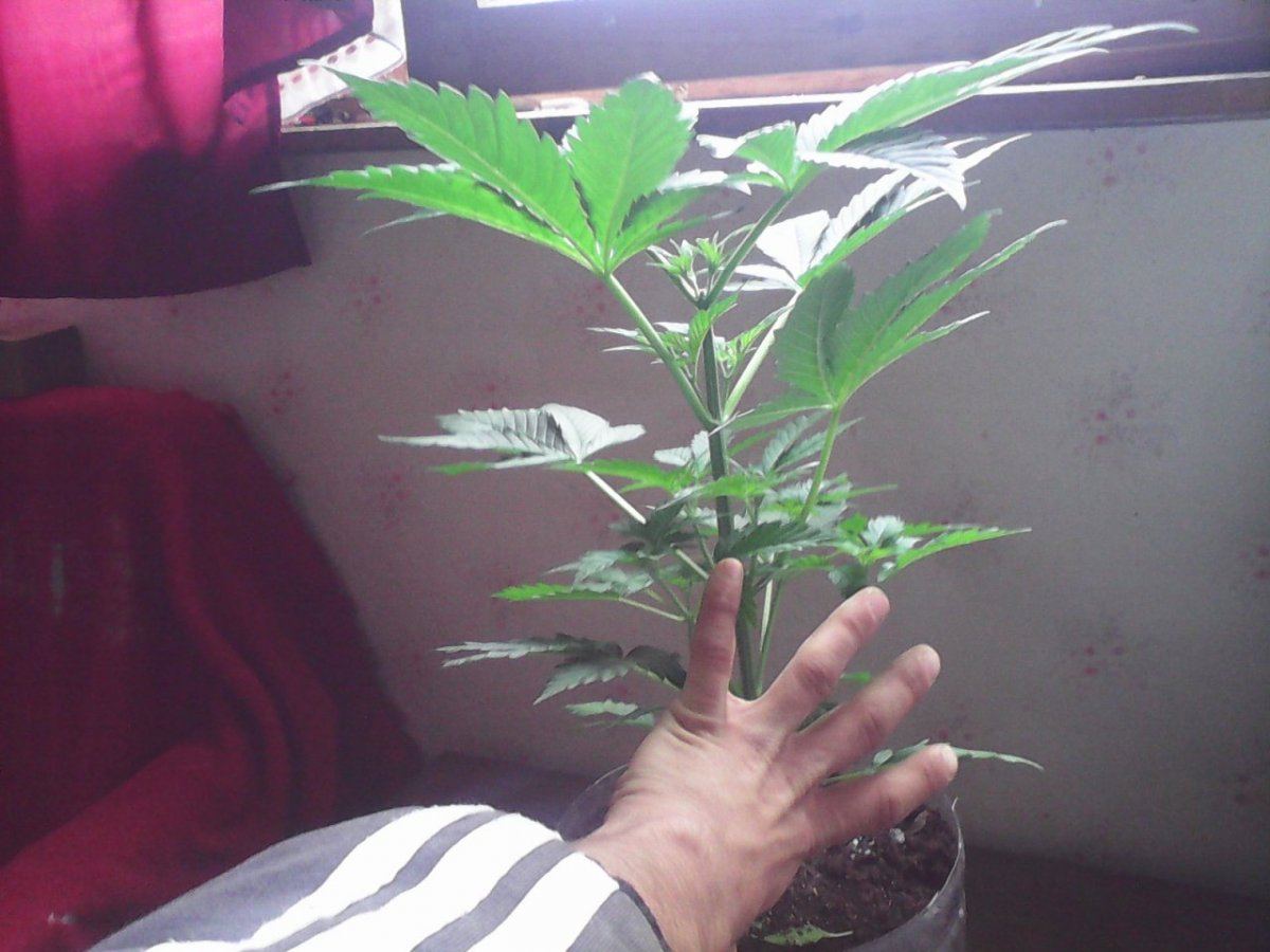 IMG 20140407 155523