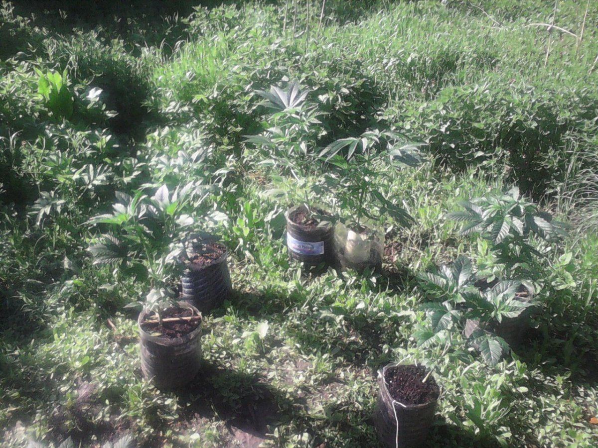 IMG 20140420 094048
