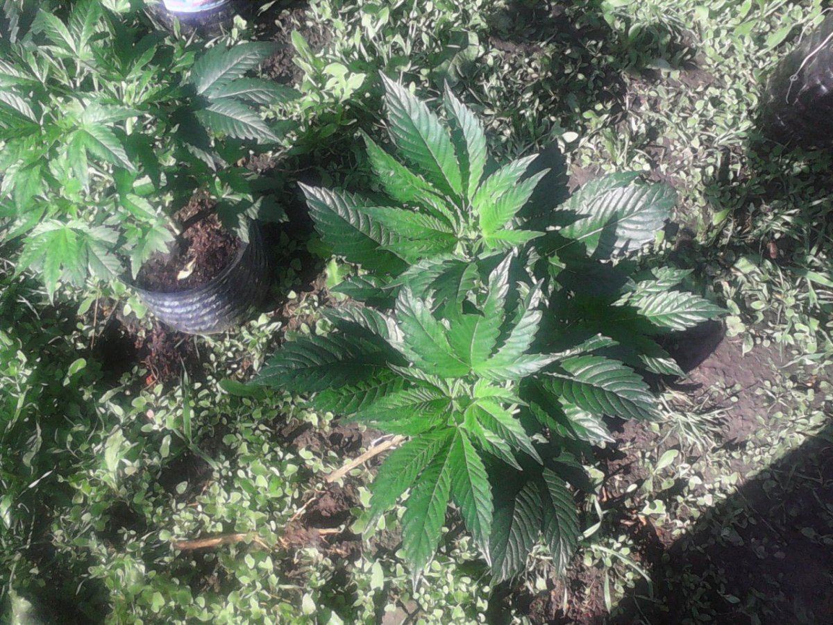 IMG 20140420 094149