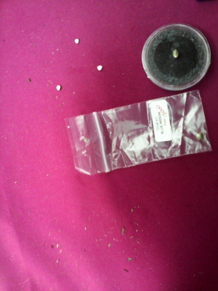 IMG 20140424 221907