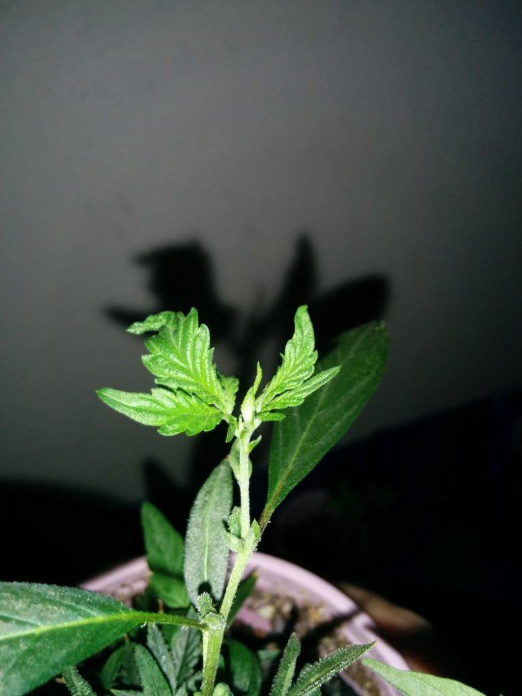 IMG 20140427 165729
