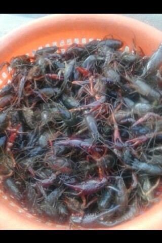 IMG 20140502 215848