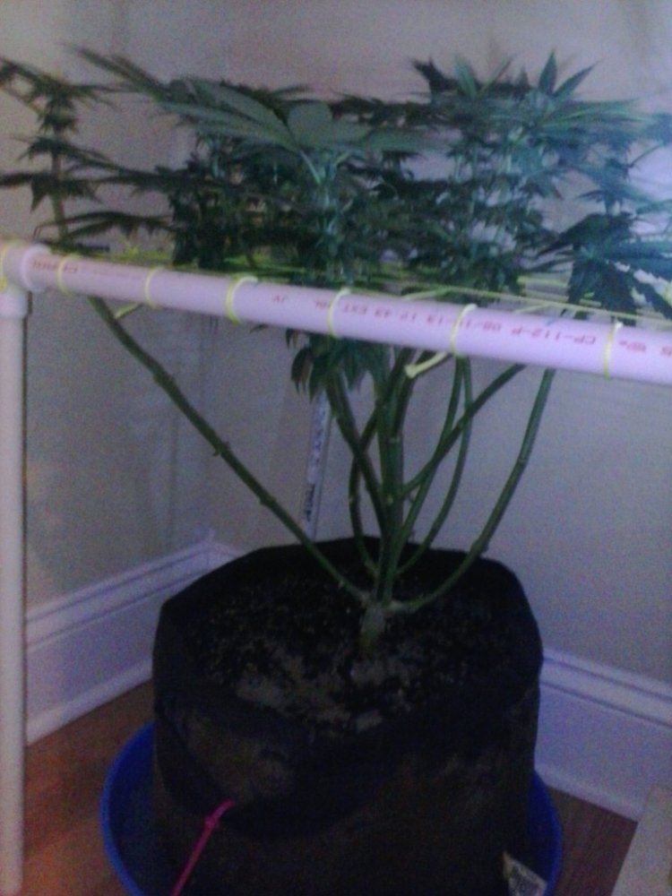 IMG 20140520 175403