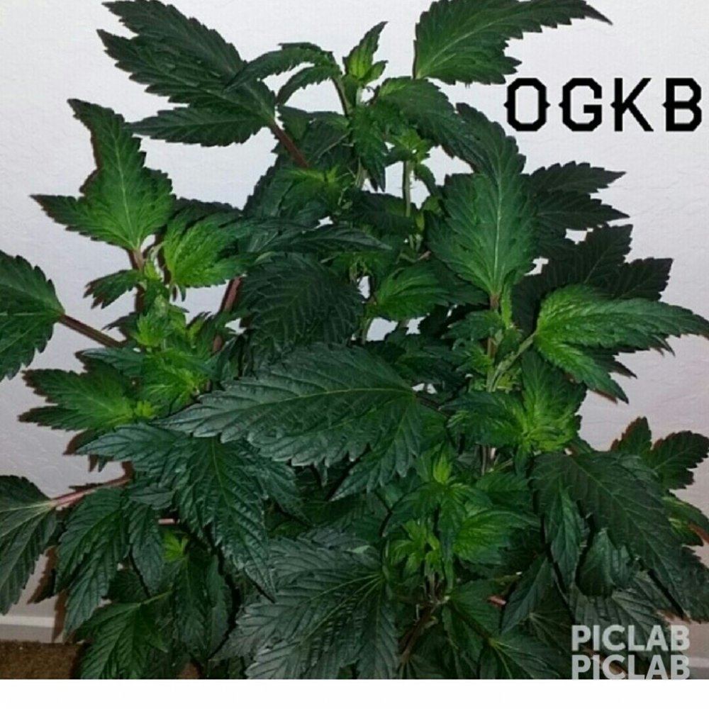 IMG 20140523 220807