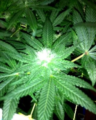 IMG 20140529 013619