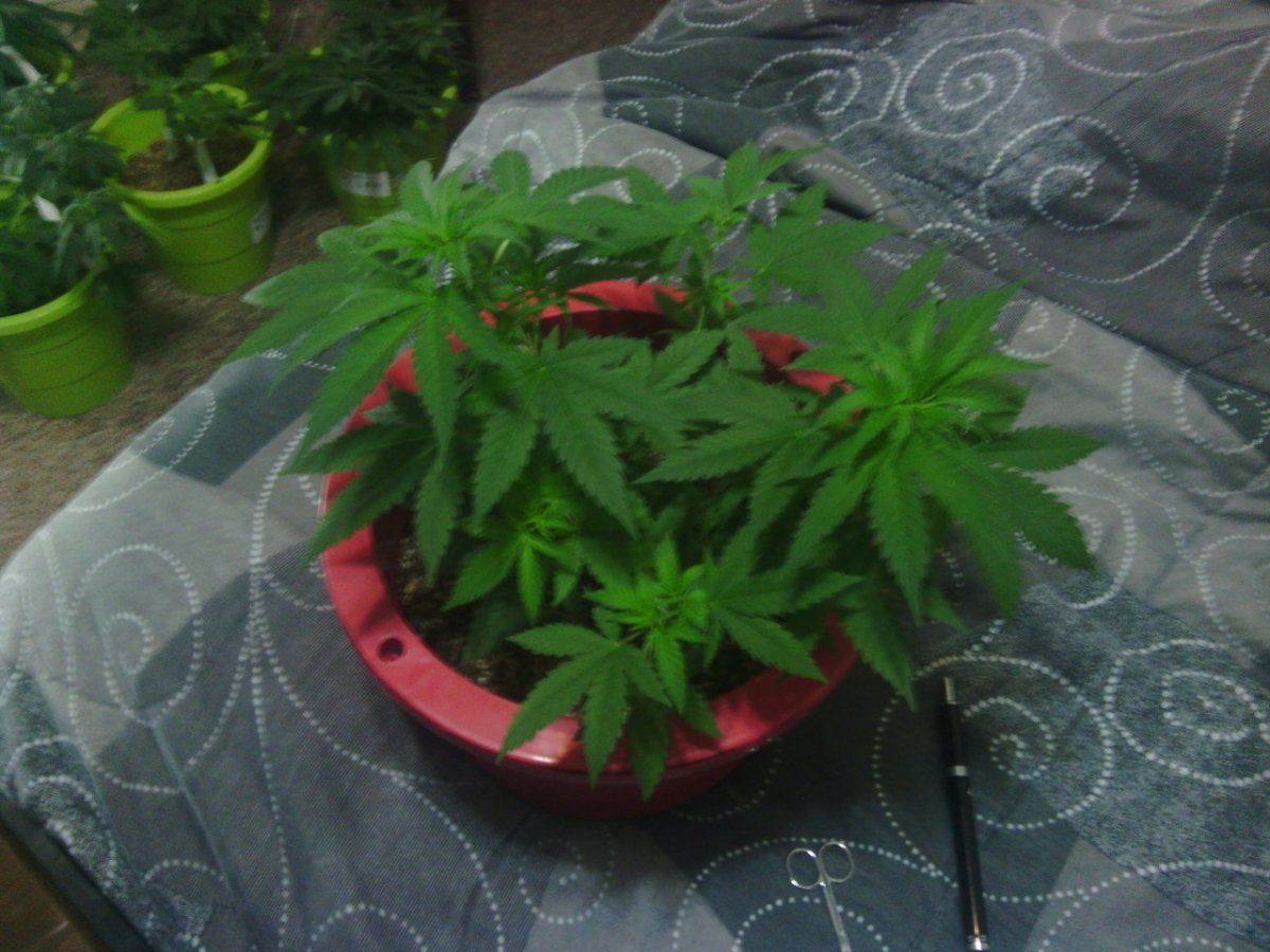 IMG 20140609 175800