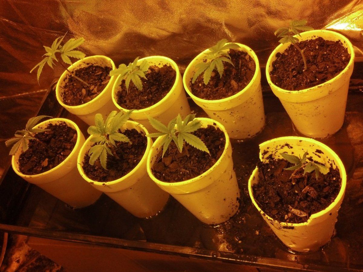 IMG 20140630 110357 698
