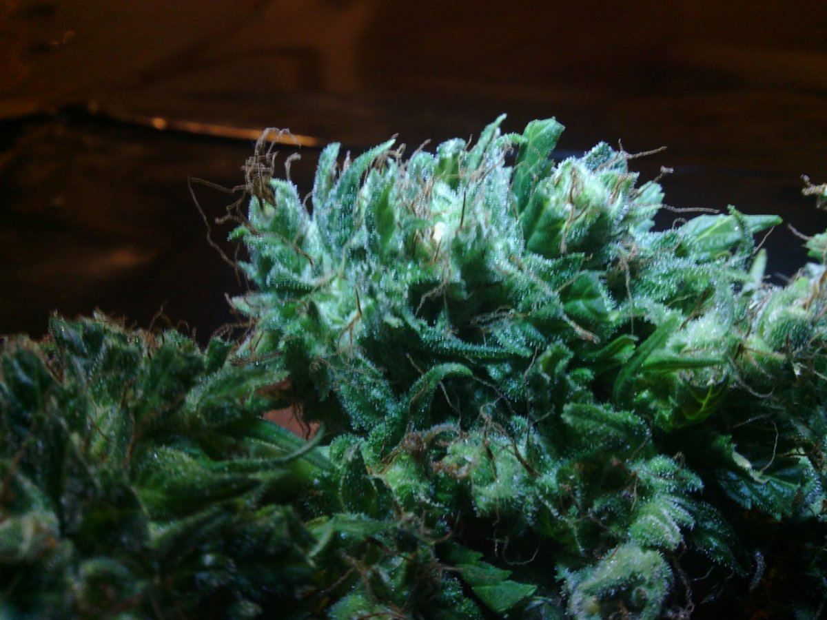 IMG 20140715 035250