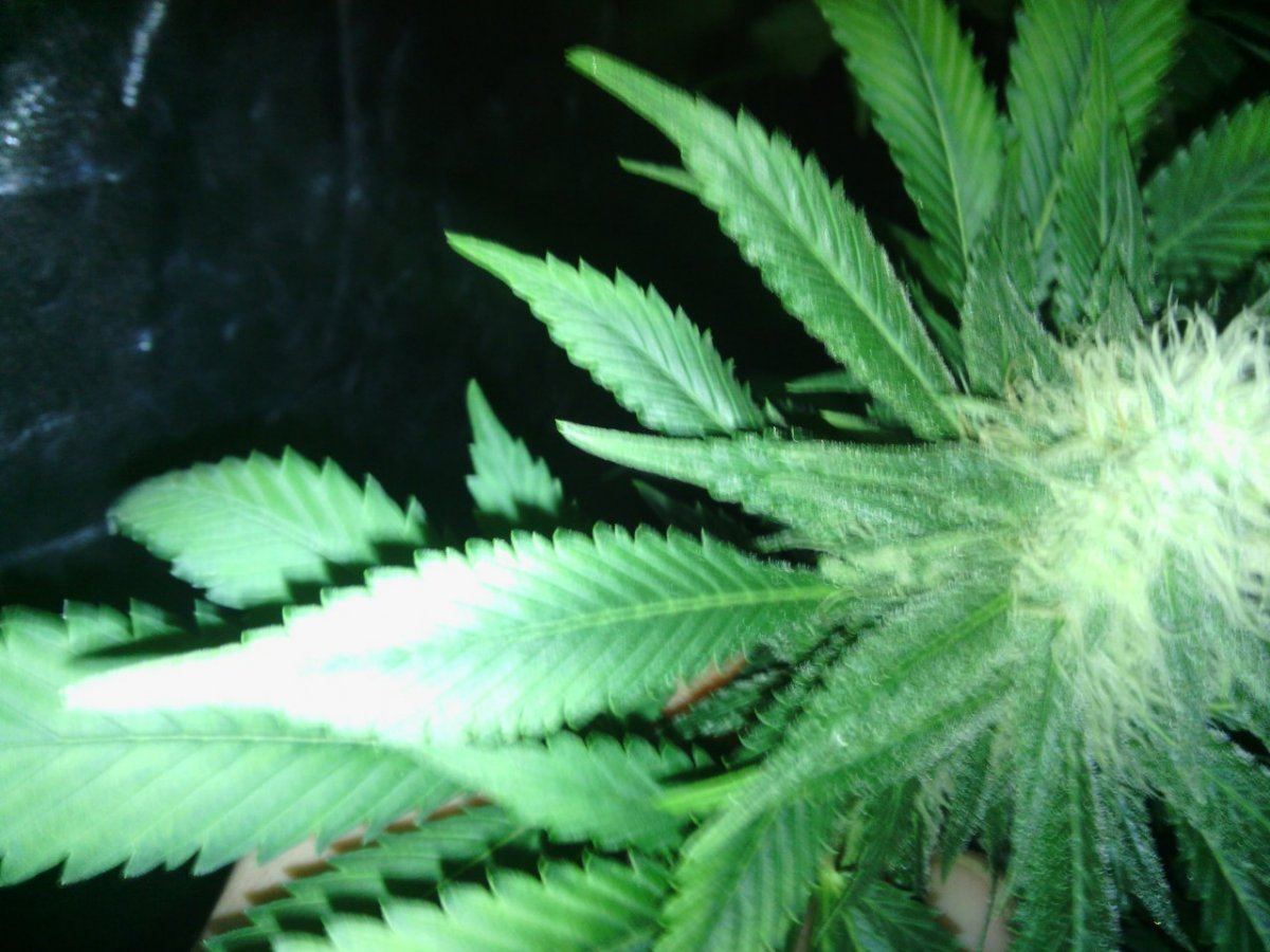 IMG 20140726 081159