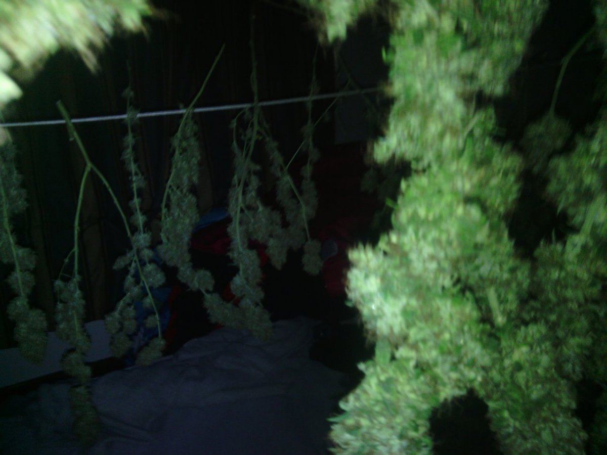 IMG 20140831 211446