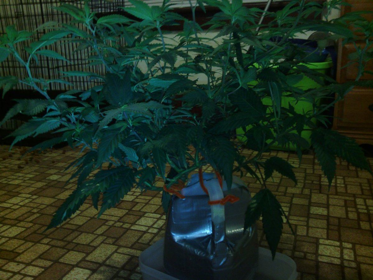 IMG 20140904 210935