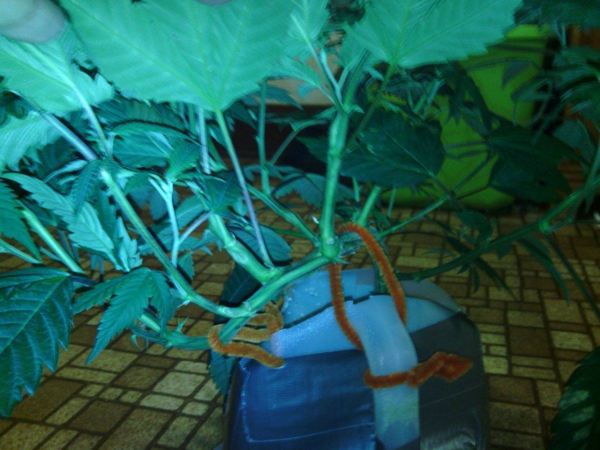 IMG 20140904 210943