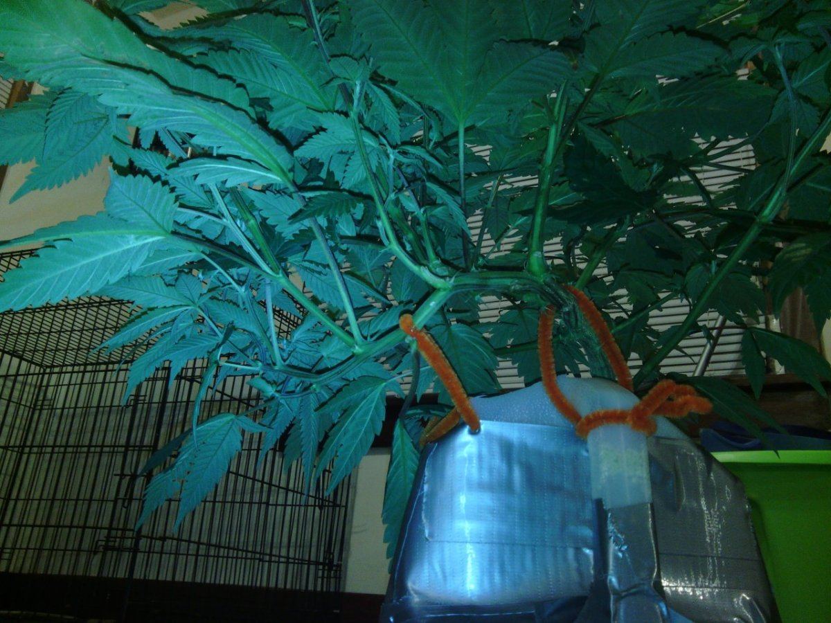 IMG 20140904 211002