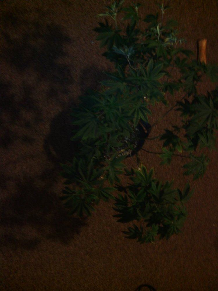 IMG 20140921 224834