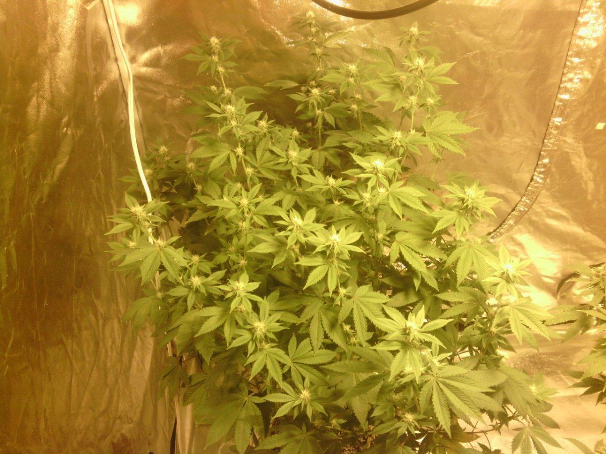 IMG 20141008 234429