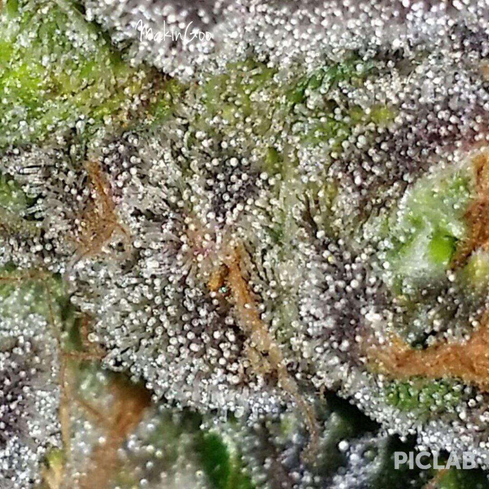 IMG 20141011 232125