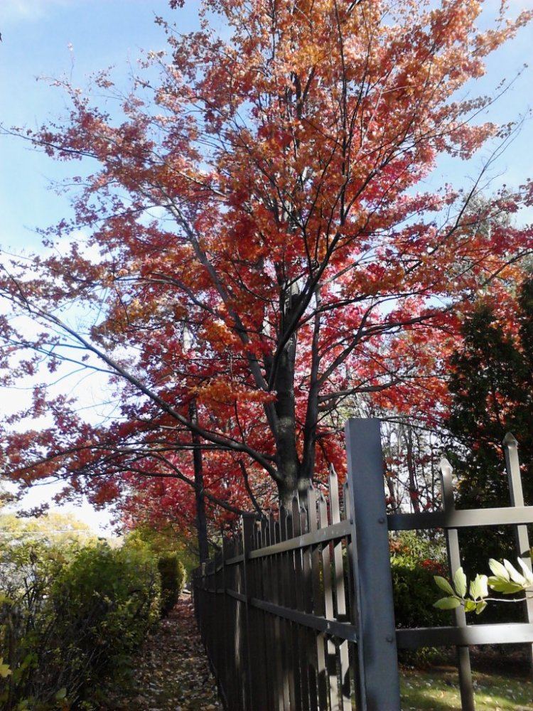 IMG 20141014 101700