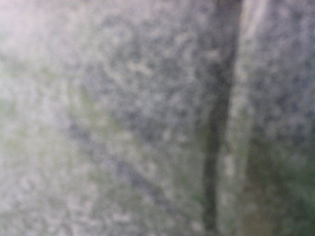 IMG 20141208 161958