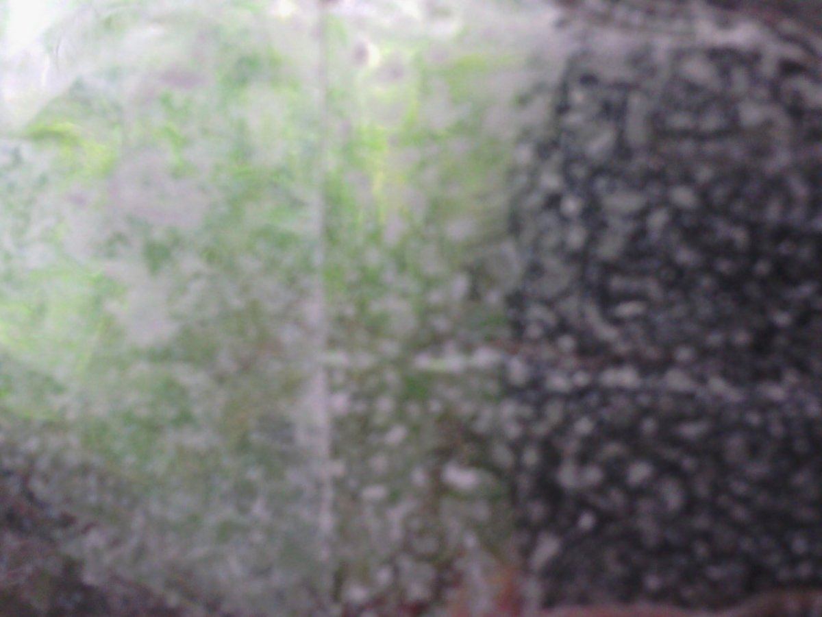 IMG 20141208 162033