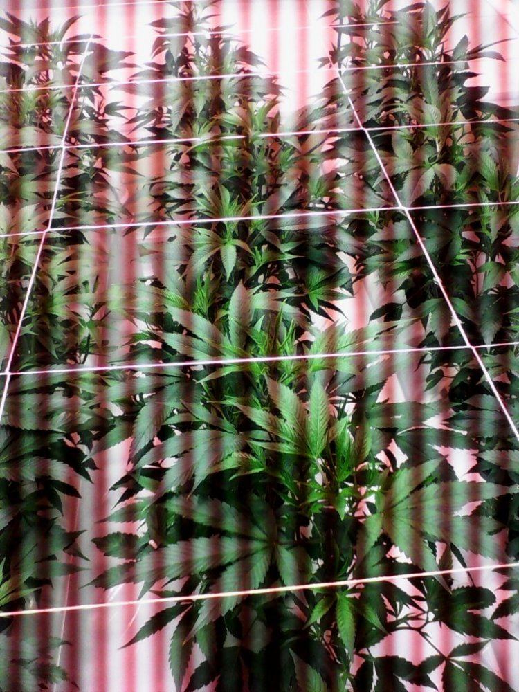 IMG 20141230 130155