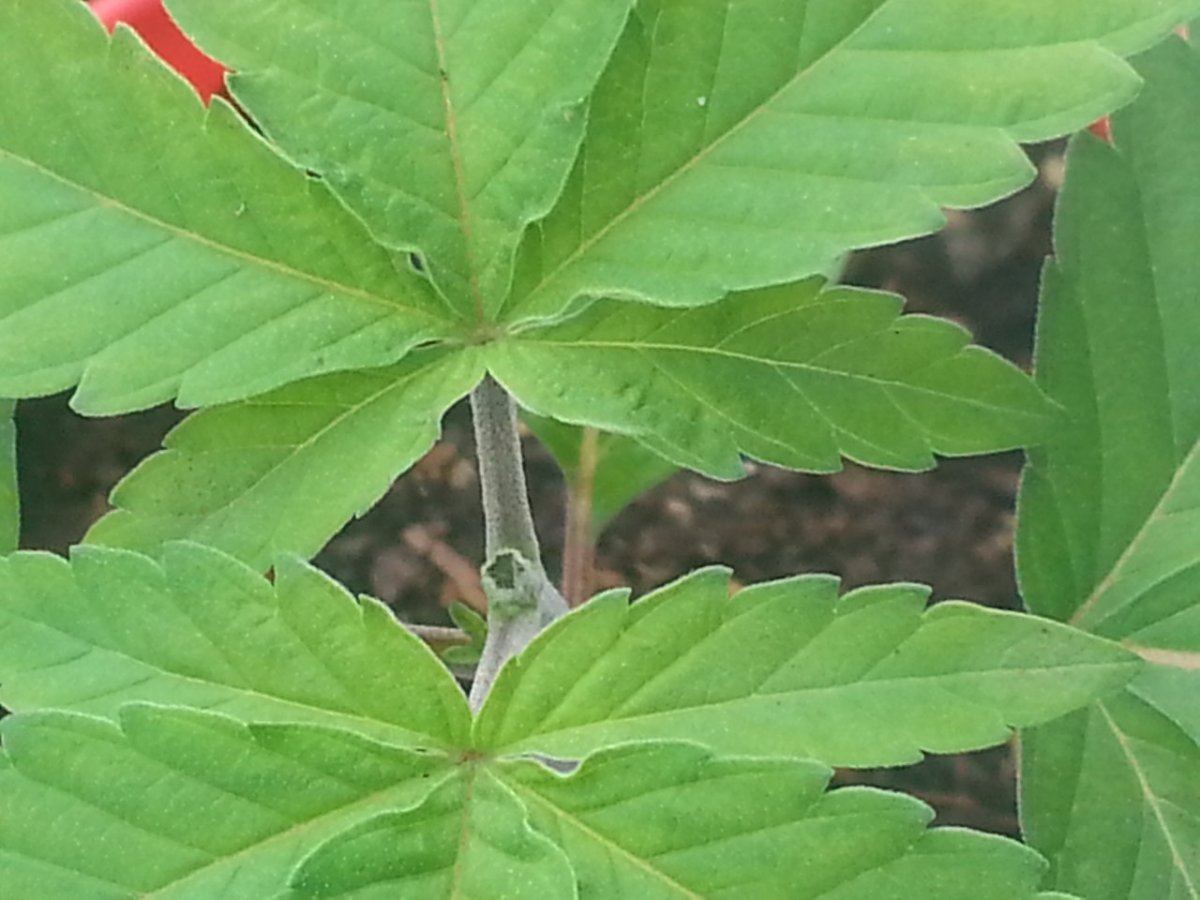 IMG 20150131 121624